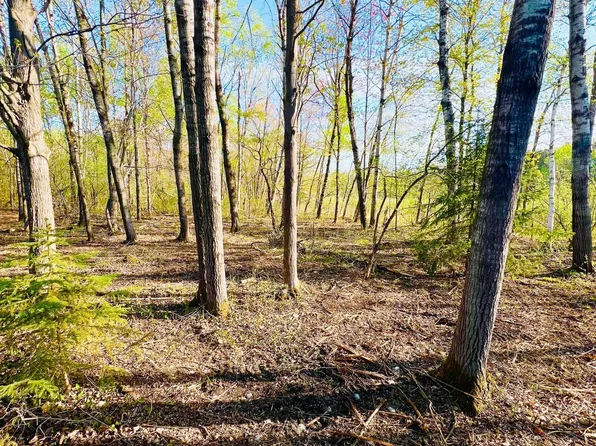 Mallard Pl, Sandstone, MN 55072