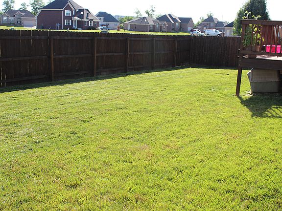 Back yard 