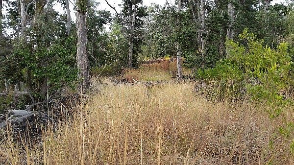 1st image of Kona Dr Lot 6