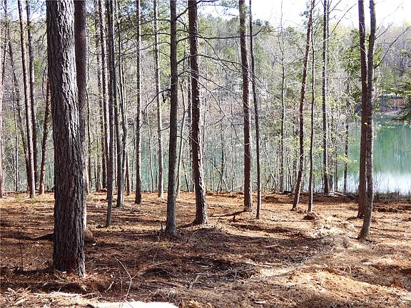 3rd image of LOT 34 Peninsula Pointe North Way Lot 34
