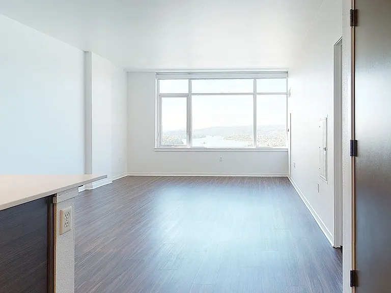 Apartment Living Room with Wood-Style Flooring.