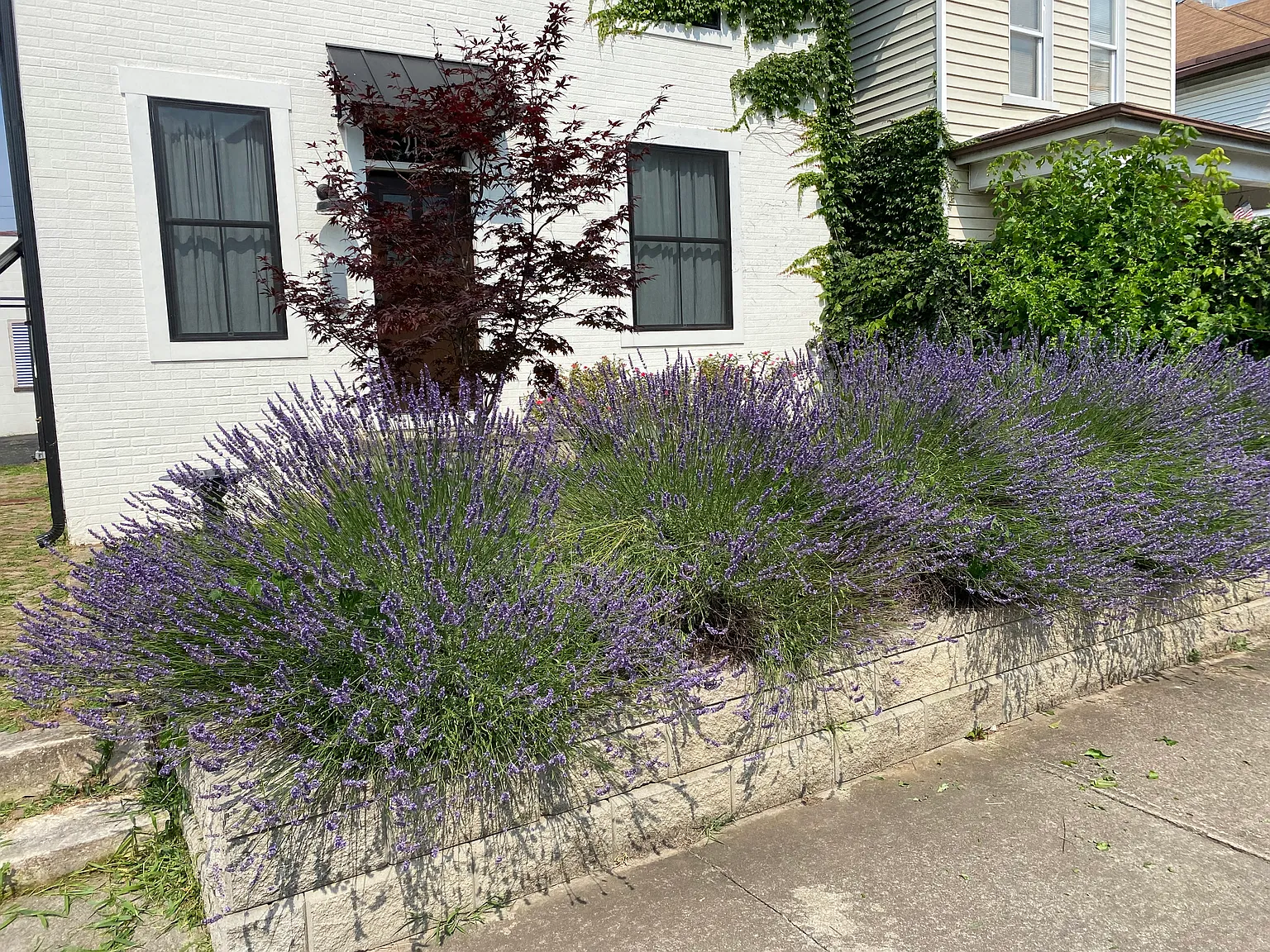 3 bed, 2200 sqft, $1,950 — Photo 3