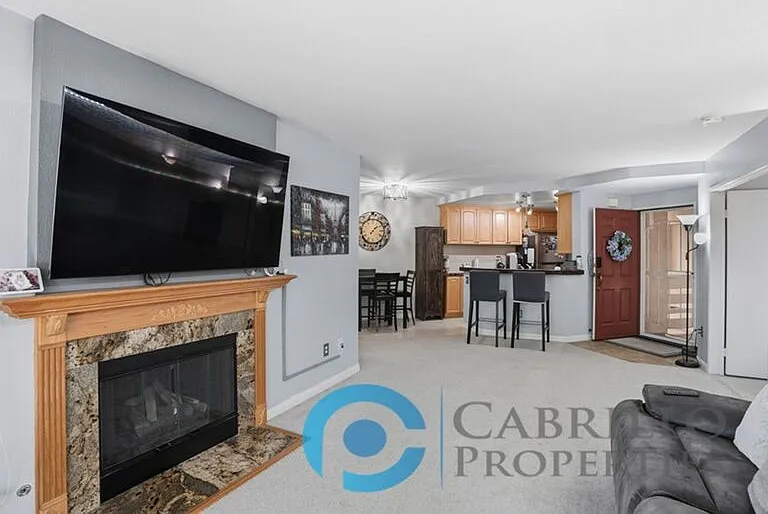 11115 Affinity Ct #3 — Photo 4