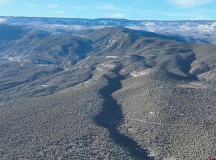 17400 Fairlamb Rd, Cedaredge, CO 81413