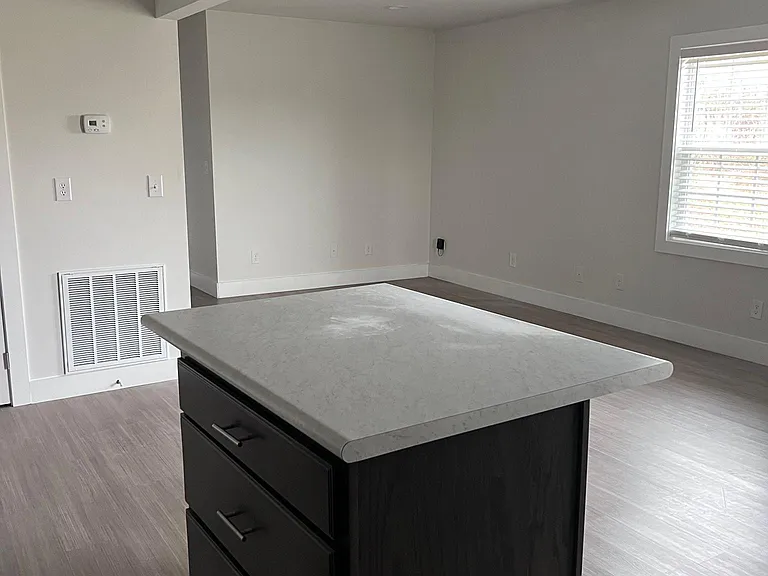 1736 Old Gray Station Rd #2 — Photo 5