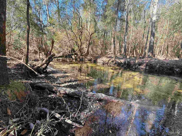 21 Creek Bluff Dr, Milton, FL 32571