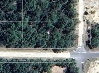 11269 Tinamou Ave, Weeki Wachee, FL 34614