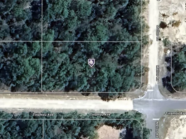 11269 Tinamou Ave, Weeki Wachee, FL 34614