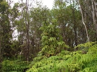 Kokokahi Rd LOT 67, Volcano, HI 96785
