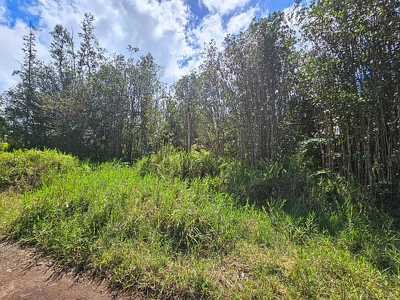 5th image of Road 9 Koloa Maoli Lot 5364