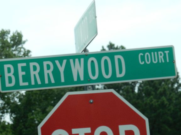 5th image of 181 Berrywood Ct