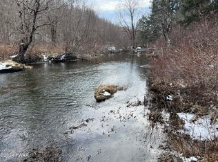 Franks Old Rd, Pleasant Mount, PA 18453