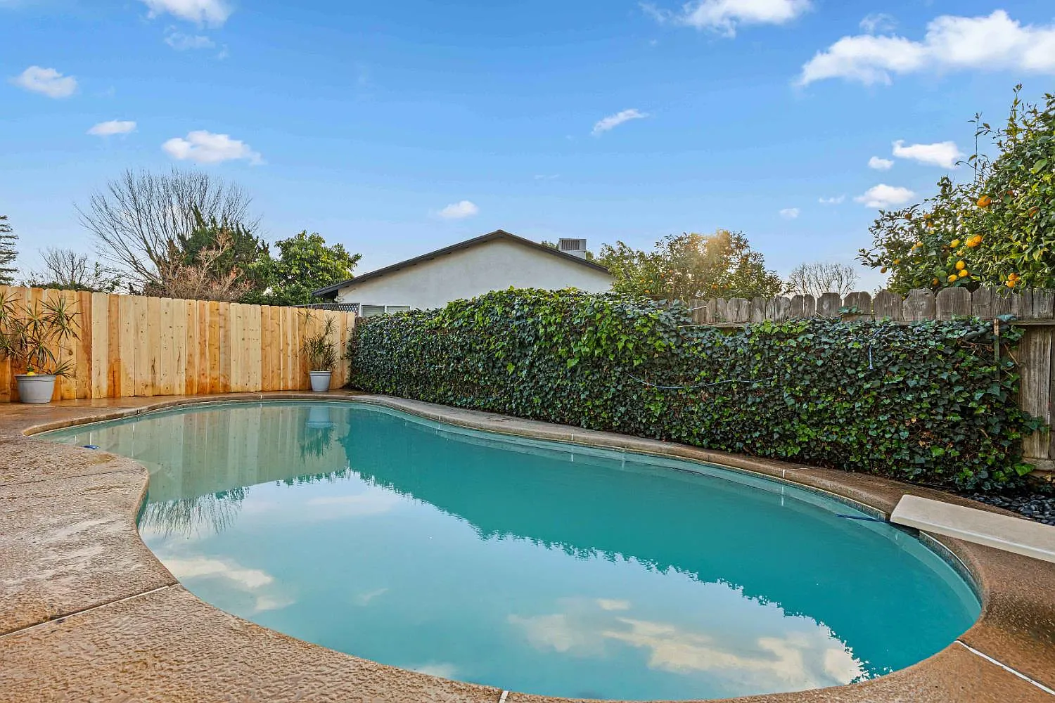 3913 Peacock Ln photo 1