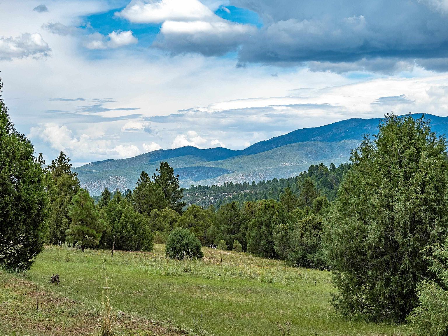 Forest Rd 160, Chamisal, NM 87521 MLS 109201 Zillow