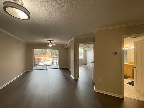 8617 River Homes Ln #3203 Photo 1