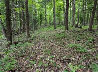 LOT 7 Hemlock Dr #46, Lowville, NY 13367