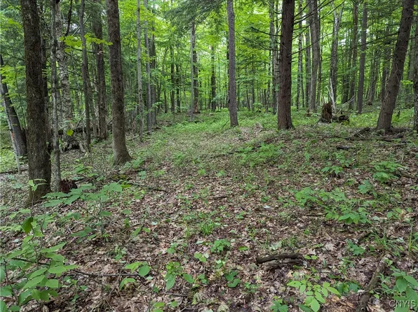 LOT 7 Hemlock Dr #46, Lowville, NY 13367