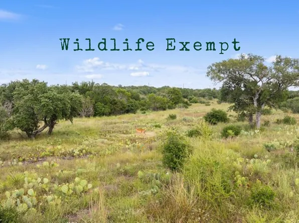 TBD W RR 962 LOT 40, Round Mountain, TX 78663