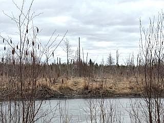1st image of 450th St