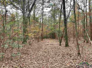 Tbd Driskell Bridge Rd, Harleton, TX 75651