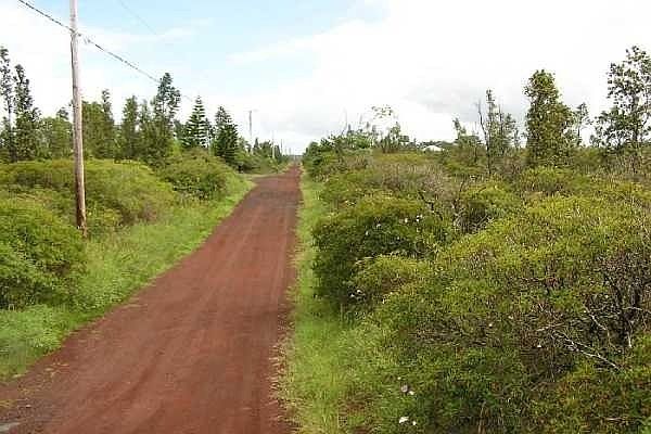 1st image of 2nd Avenue Aloe Lot 2767