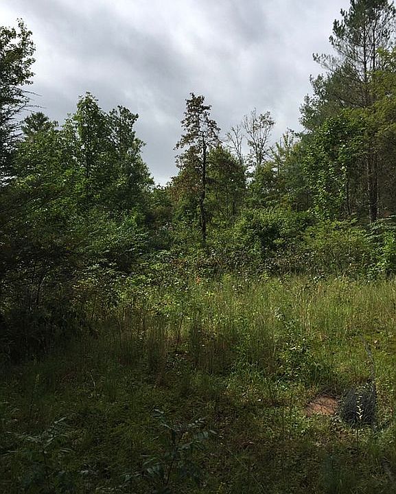 2nd image of 264 Billy Chastain Dr