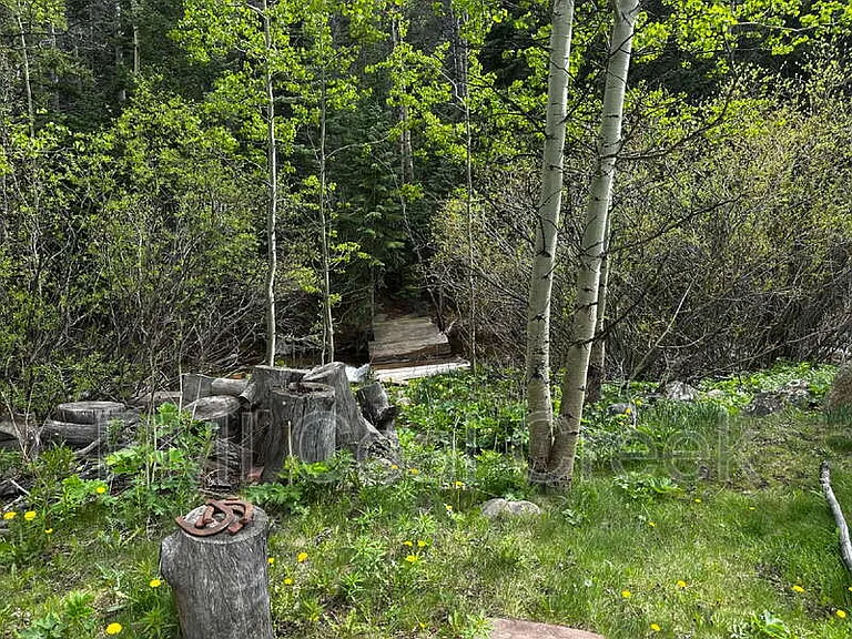 2970 Apex Valley Rd — Photo 5