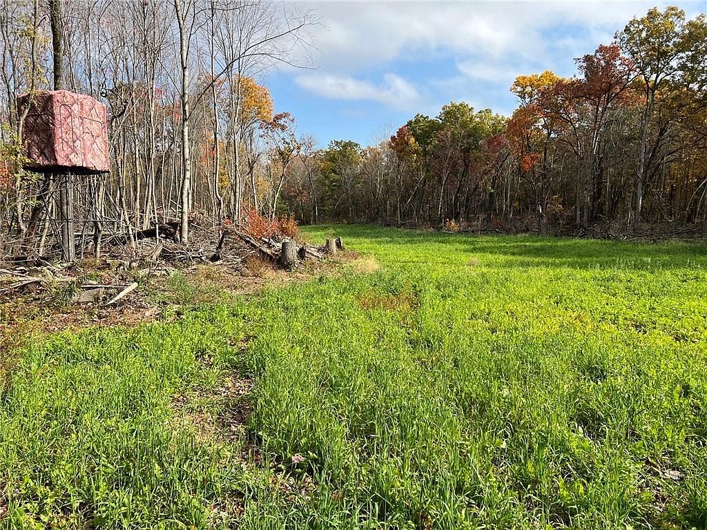 0 Lot 1 Squirrel Road, Hixton, WI 54635 MLS 1578024 Zillow