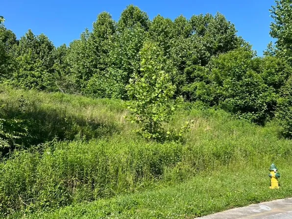 215 Brighton Pl, Bristol, TN 37620