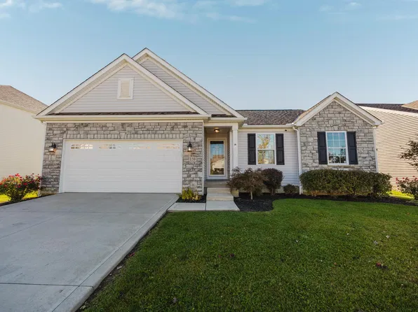 159 Chestnut Commons Dr, Commercial Pt, OH 43116