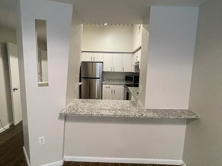 2411 W Horatio St #515 — Photo 5