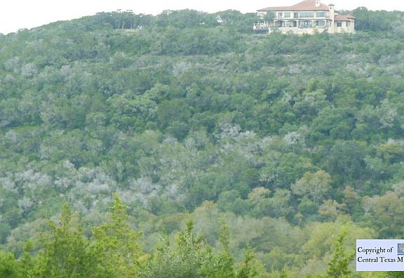 3rd image of 551 Riverbend Blvd