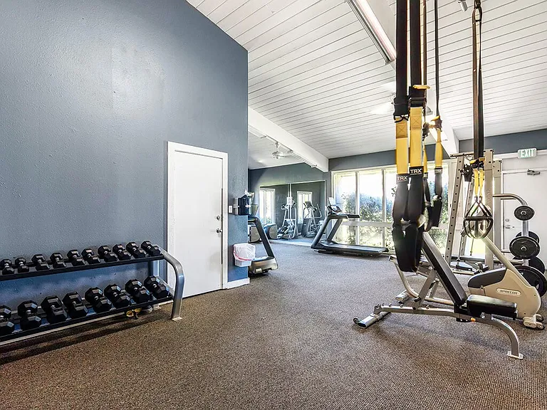 Professional Fitness Center