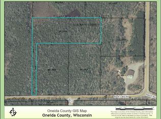 On Black Lake Rd LOT 3, Minocqua, WI 54548