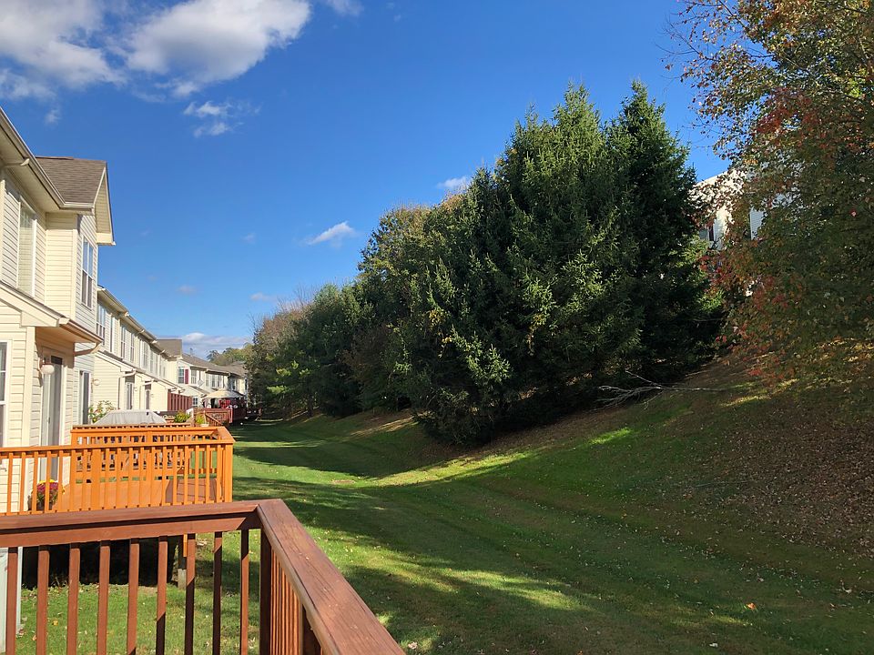 View from deck