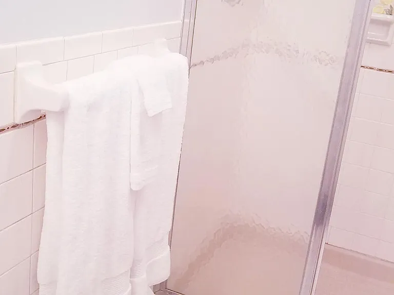 Shower (downstairs)