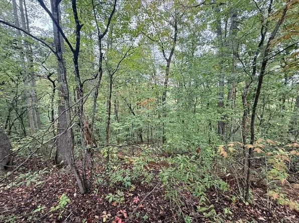 0 Tennis Center Dr Lot 292, Smithville, TN 37166