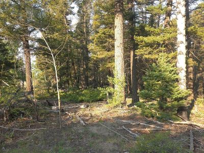 Lot 5768 Clawson Road, Fort Garland, CO, 81133