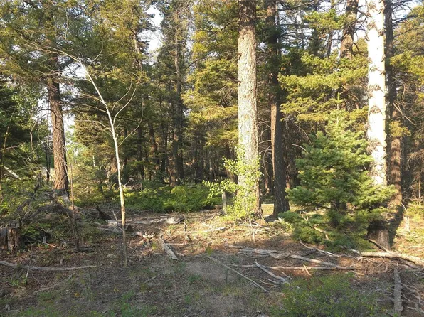 Lot 5768 Clawson Road, Fort Garland, CO 81133