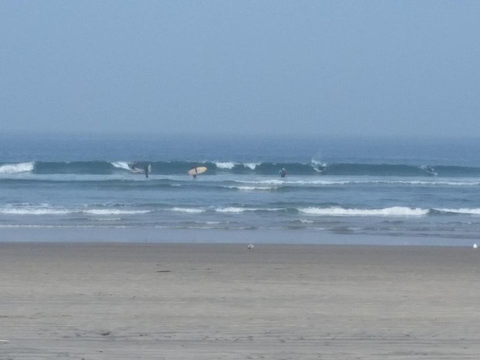 SURF LJ SHORES ONE BLOCK AWAY