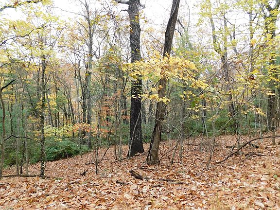 5th image of C11-C12 Little Ridge Trl