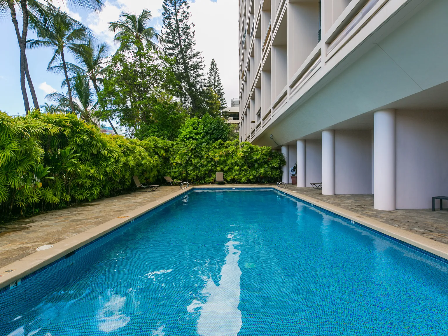 1 bed, 602 sqft, $2,000 — Photo 3