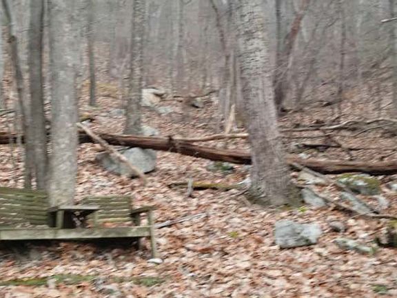 Looking up into land