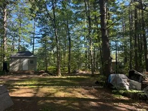 1141 Turtle Lake Rd, Gravenhurst, ON P1P 0E6