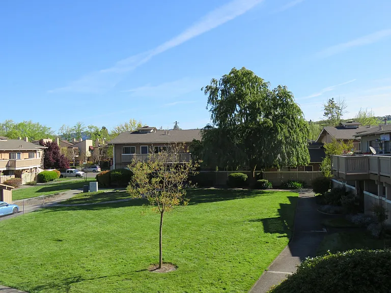 Country Club Apartments — Photo 16