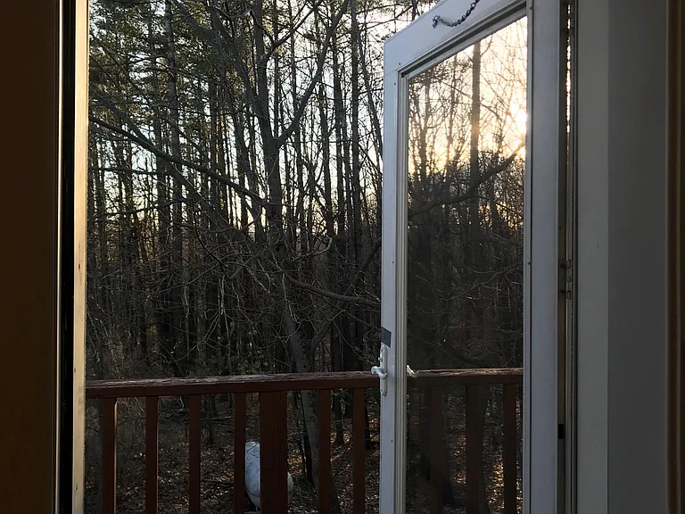 51 Saugerties Rd — Photo 20