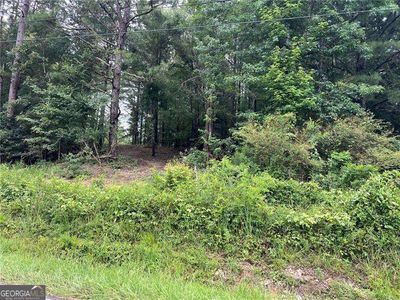3963 Dabbs Bridge Rd, Acworth, GA, 30101