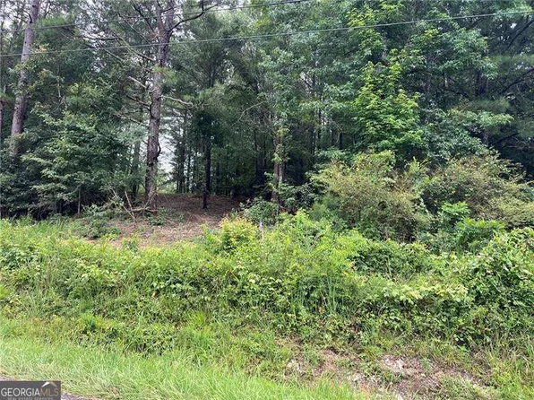 3963 Dabbs Bridge Rd, Acworth, GA 30101