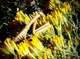 1460 S Deer Run Rd, Carson City, NV 89701