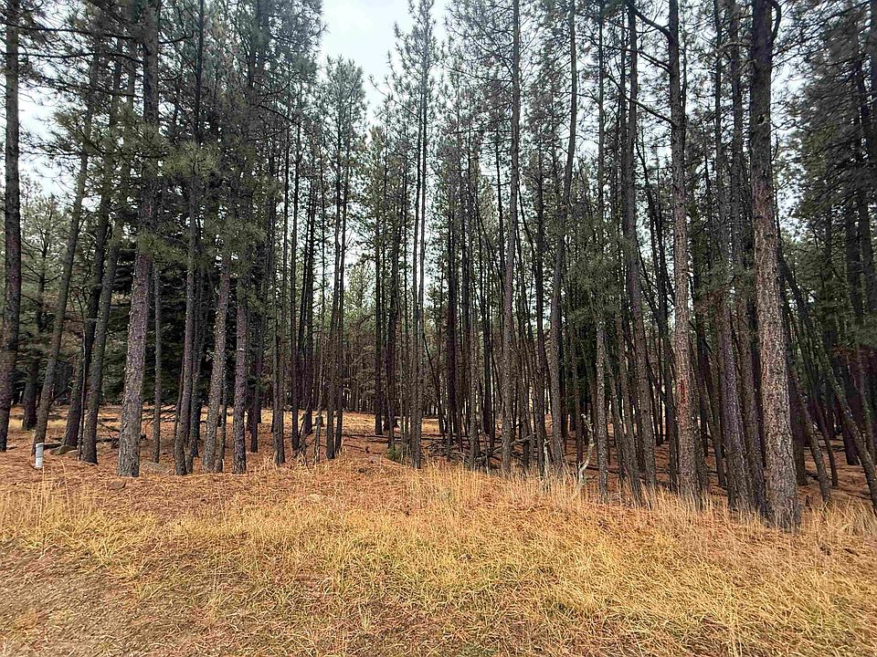 1st image of Lot 75 San Juan Dr